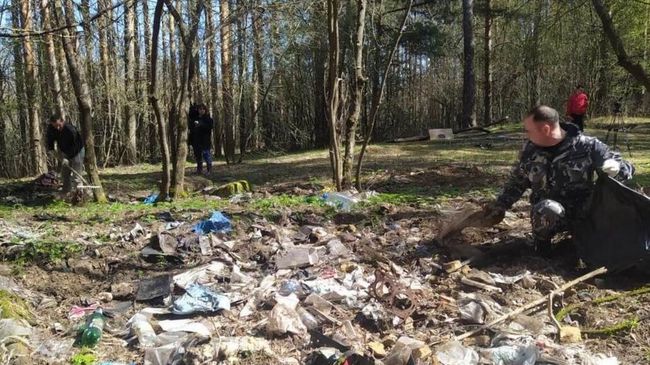 Уборка мусора в лесу Подмосковья Уборка мусора в лесу Подмосковья