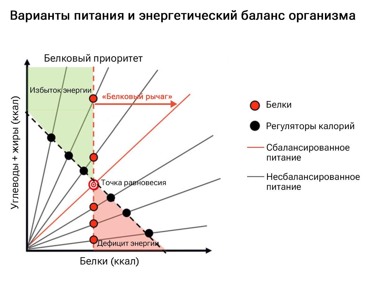 Варианты питания и энергетический баланс организма Варианты питания и энергетический баланс организма - РИА Новости, 1920, 10.11.2023