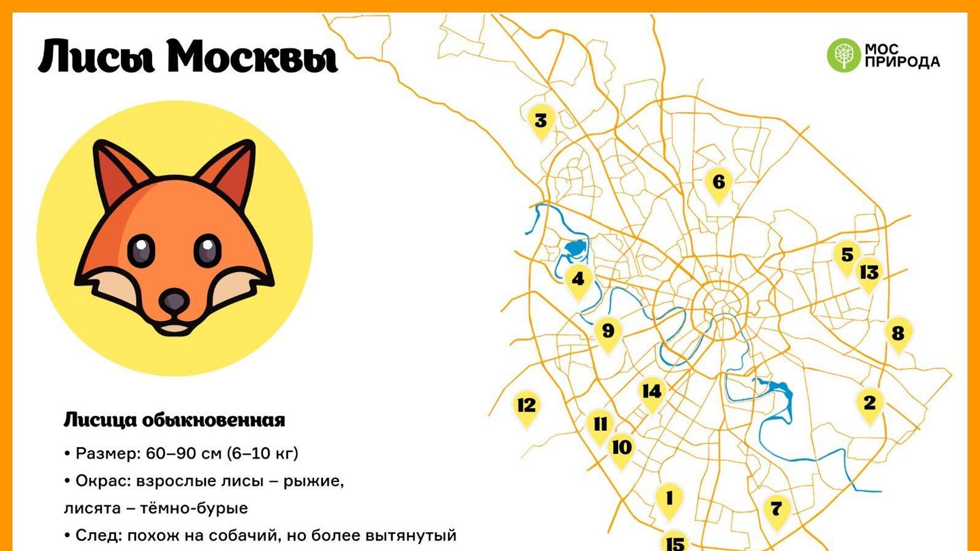 Карта обитания лис в Москве Карта обитания лис в Москве - РИА Новости, 1920, 12.11.2023