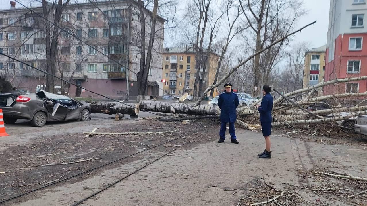 Падение дерева на автомобиль с людьми в результате урагана в Новокузнецке Падение дерева на автомобиль с людьми в результате урагана в Новокузнецке - РИА Новости, 1920, 19.11.2023