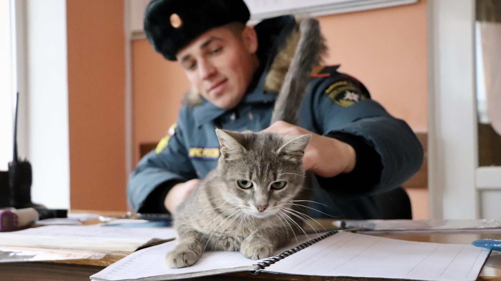 Кошка Маруся с орловскими спасателями Кошка Маруся с орловскими спасателями - РИА Новости, 1920, 21.11.2023