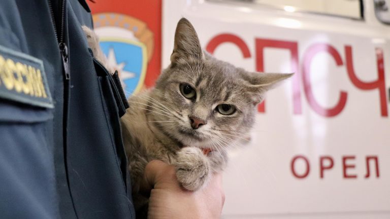 Кошка Маруся с орловскими спасателями Кошка Маруся с орловскими спасателями