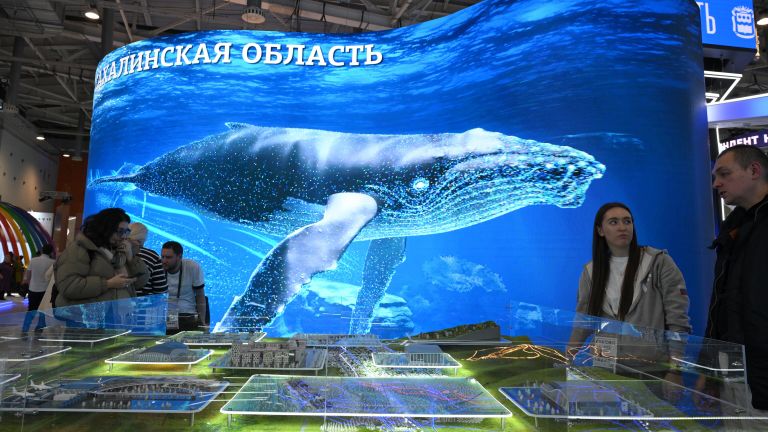 Стенд Сахалинской области на Международной выставке-форуме Россия Стенд Сахалинской области на Международной выставке-форуме Россия