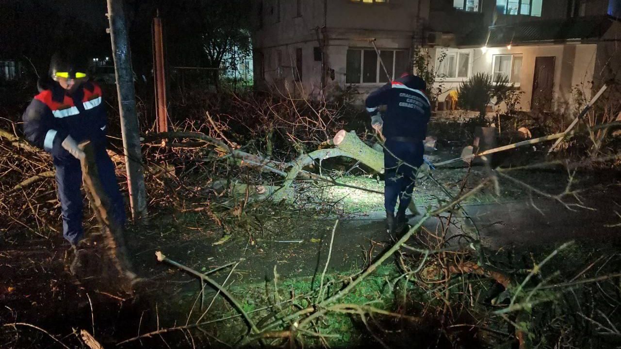 Поваленные штормом деревья в Севастополе Поваленные штормом деревья в Севастополе - РИА Новости, 1920, 27.11.2023