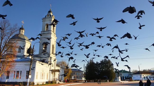 Петропавловский собор Петропавловский собор
