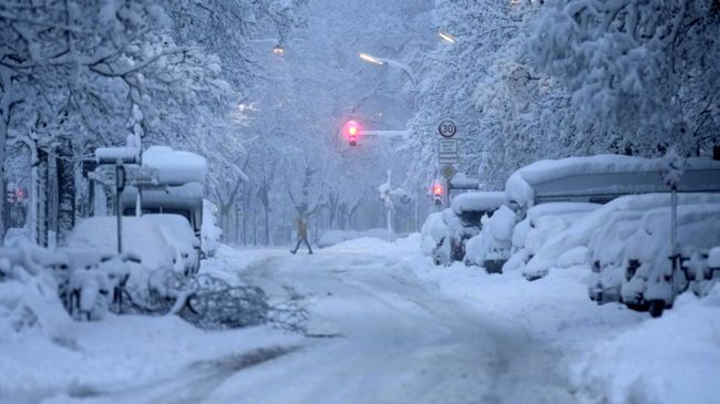 Последствия снегопада в Мюнхене