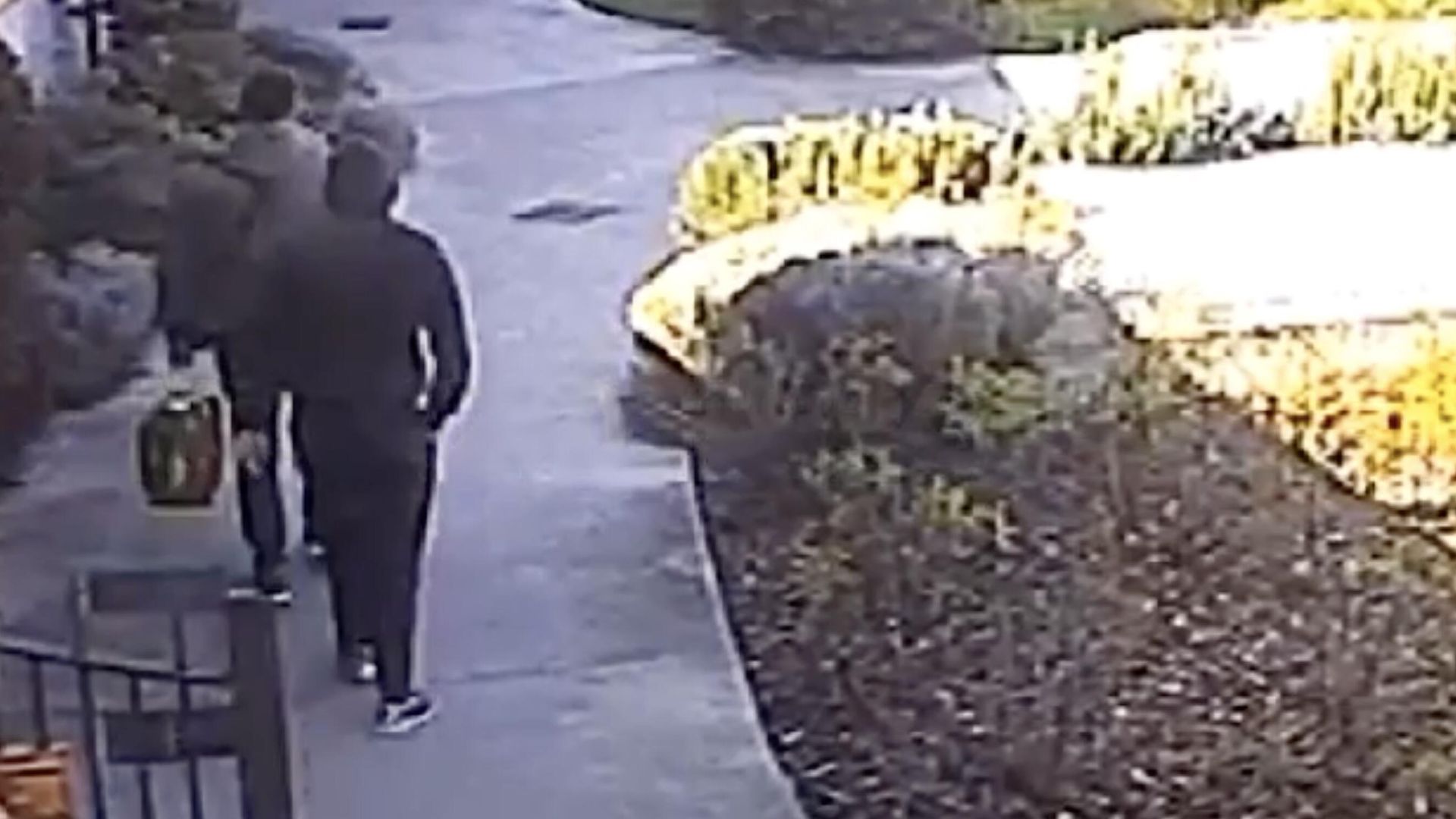 Кадр видео побега Артема Усса из-под домашнего ареста в Италии Кадр видео побега Артема Усса из-под домашнего ареста в Италии - РИА Новости, 1920, 14.06.2024