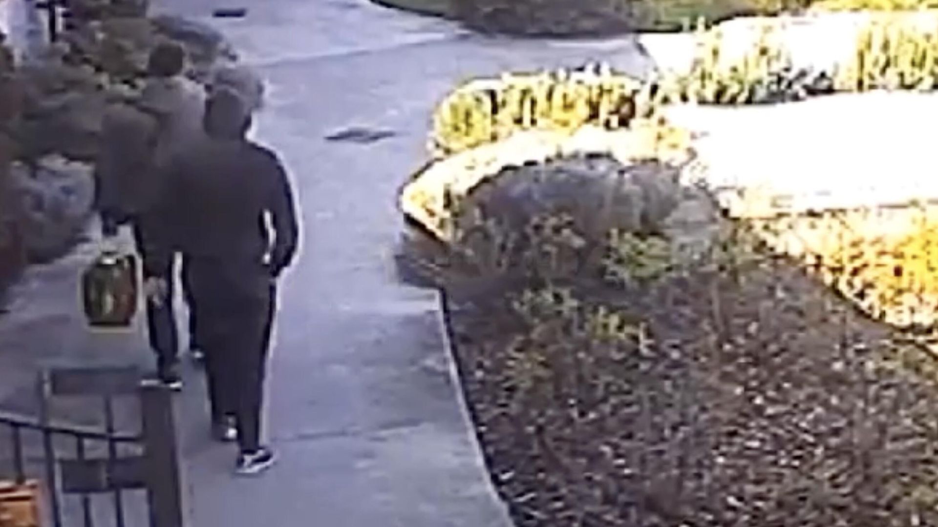 Кадр видео побега Артема Усса из-под домашнего ареста в Италии Кадр видео побега Артема Усса из-под домашнего ареста в Италии - РИА Новости, 1920, 14.06.2024