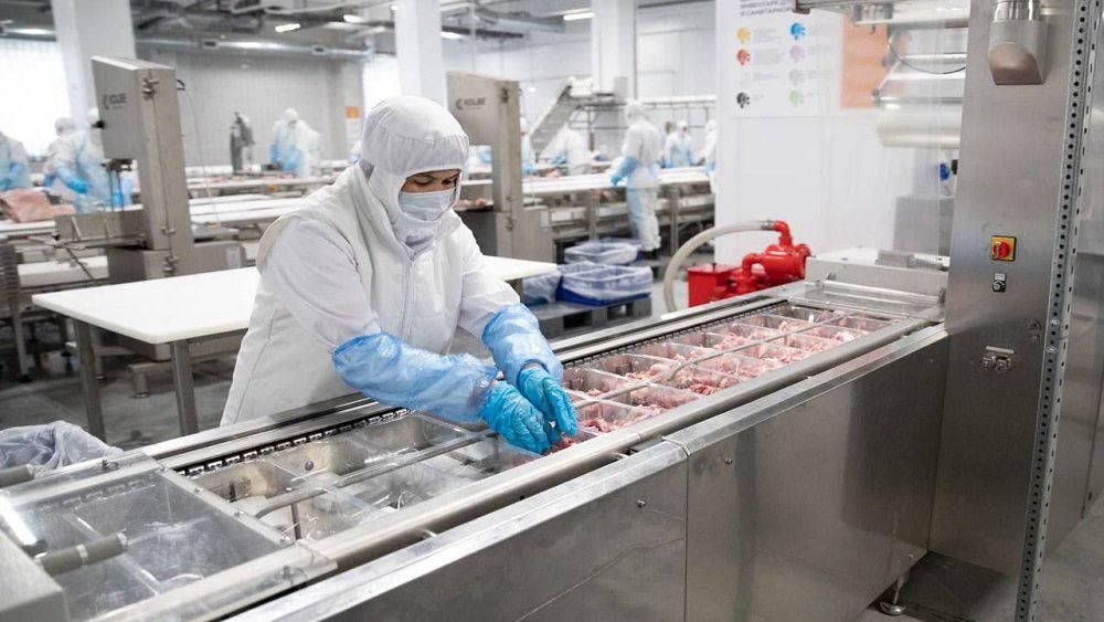 Производство полуфабрикатов и маринадов из баранины запустили в КЧР Производство полуфабрикатов и маринадов из баранины запустили в КЧР - РИА Новости, 1920, 08.12.2023