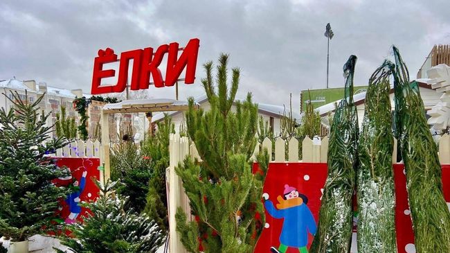 Первый елочный базар открылся в Королеве