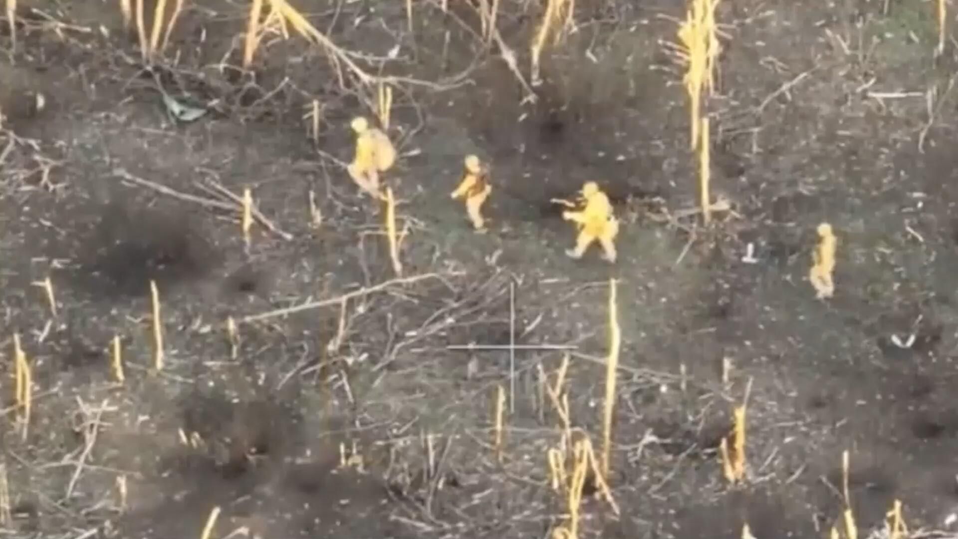 Уничтожение украинских военных в Запорожской области Уничтожение украинских военных в Запорожской области - РИА Новости, 1920, 14.12.2023