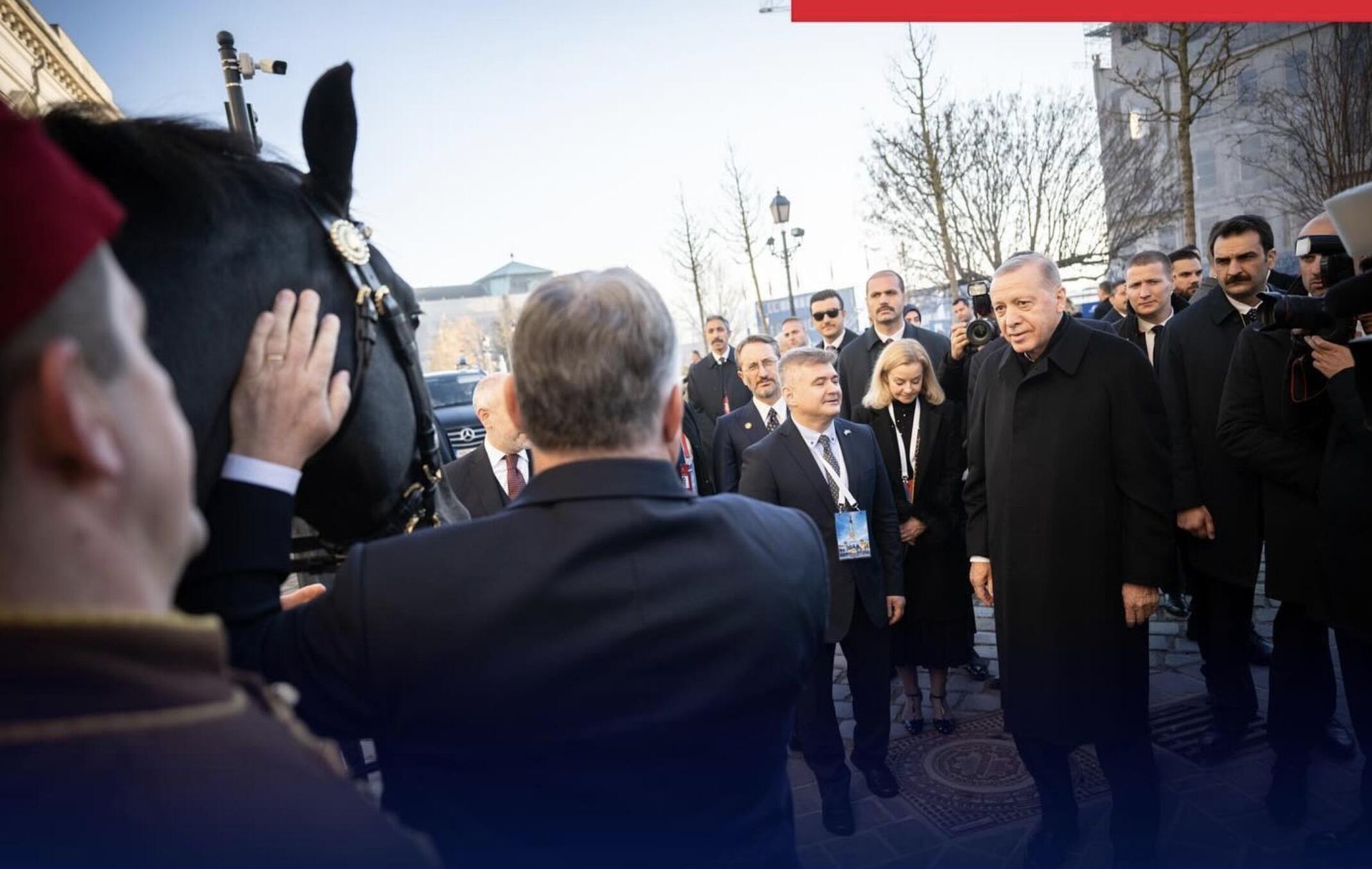 Премьер-министр Венгрии Виктор Орбан подарил находящемуся с визитом в Будапеште президенту Турции Реджепу Тайипу Эрдогану коня по кличке Аристократ Премьер-министр Венгрии Виктор Орбан подарил находящемуся с визитом в Будапеште президенту Турции Реджепу Тайипу Эрдогану коня по кличке Аристократ - РИА Новости, 1920, 18.12.2023