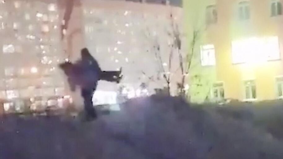 Спасение девочки, упавшей в яму в Новосибирске. Кадр видео очевидца Спасение девочки, упавшей в яму в Новосибирске. Кадр видео очевидца - РИА Новости, 1920, 19.12.2023