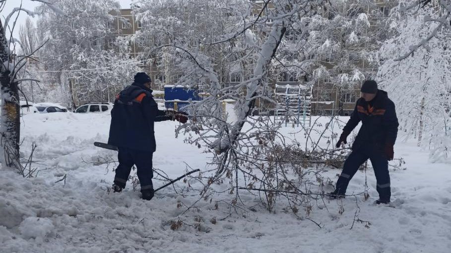 Уборка поваленных деревьев с проезжей части в Рязани Уборка поваленных деревьев с проезжей части в Рязани - РИА Новости, 1920, 24.12.2023