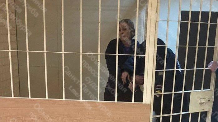 Жительница Санкт-Петербурга, обвиняемая в избиении детей. 28 декабря 2023 Жительница Санкт-Петербурга, обвиняемая в избиении детей. 28 декабря 2023 - РИА Новости, 1920, 28.12.2023