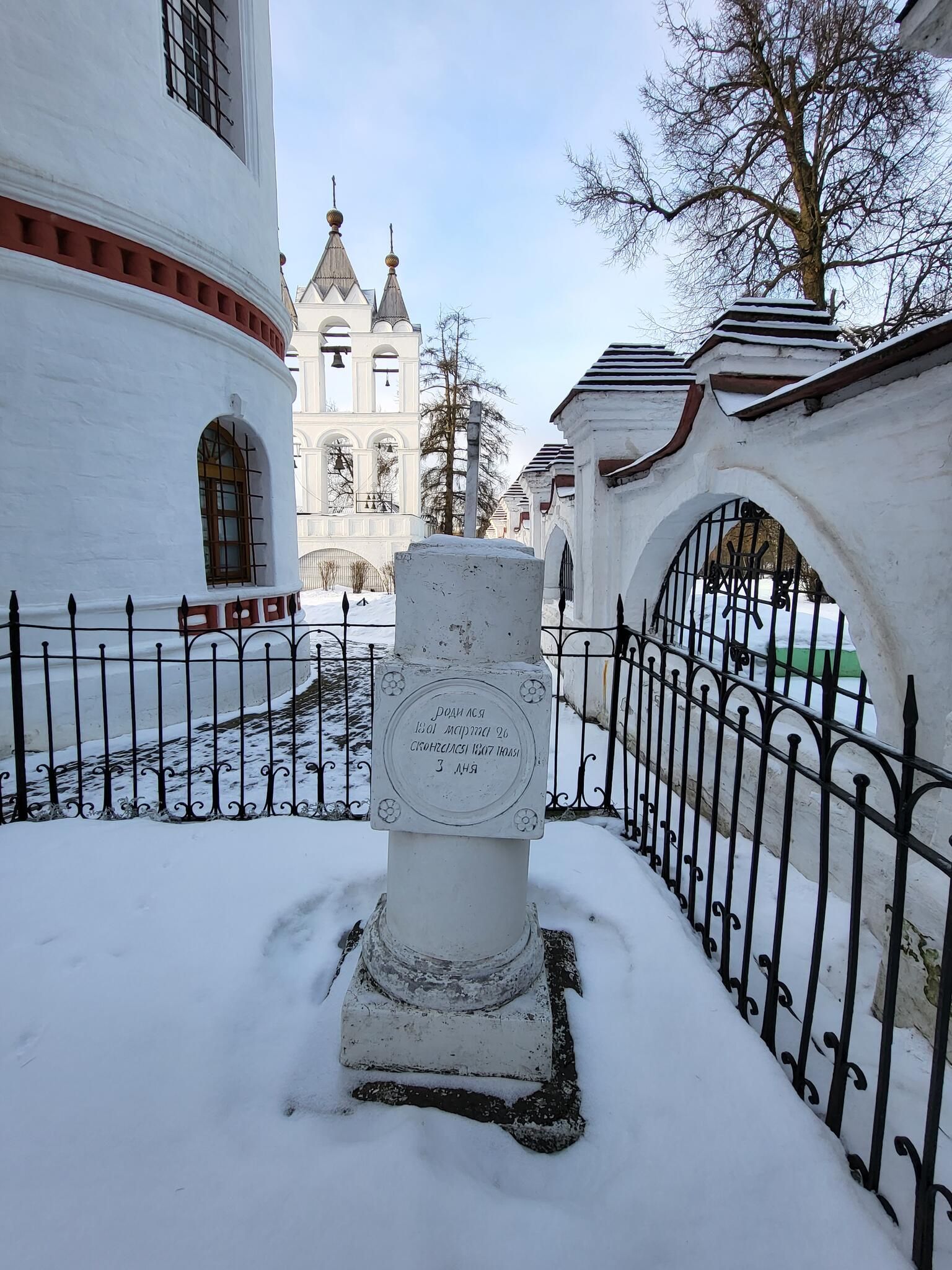 Памятник на могиле Николая Пушкина Памятник на могиле Николая Пушкина - РИА Новости, 1920, 15.01.2024