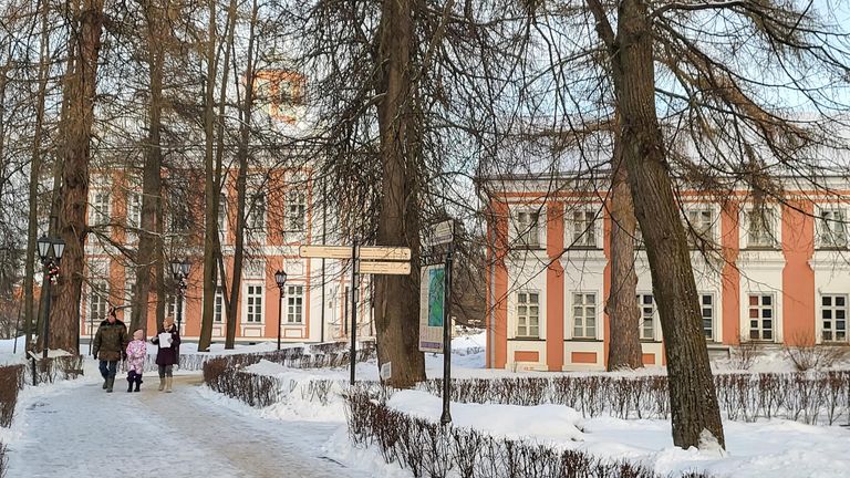 Дворец и флигель в усадьбе Вяземы Дворец и флигель в усадьбе Вяземы
