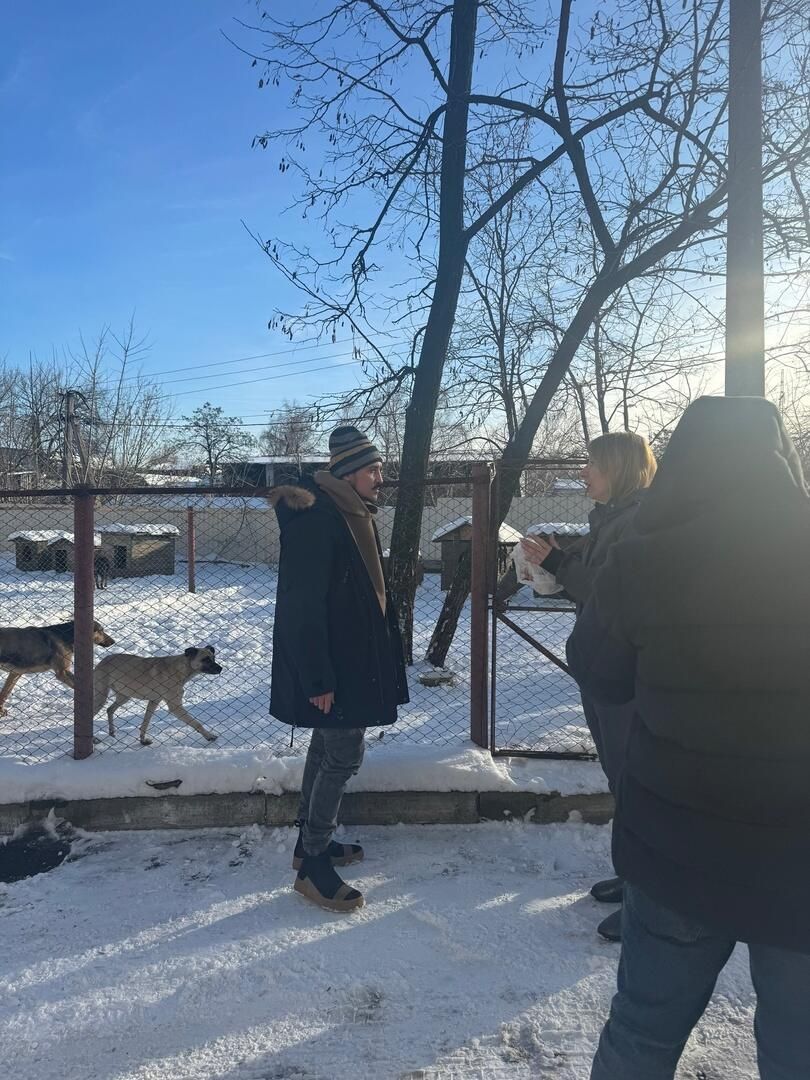 Дмитрий Билан в приюте для животных ПИФ в Донецке Дмитрий Билан в приюте для животных ПИФ в Донецке - РИА Новости, 1920, 16.01.2024