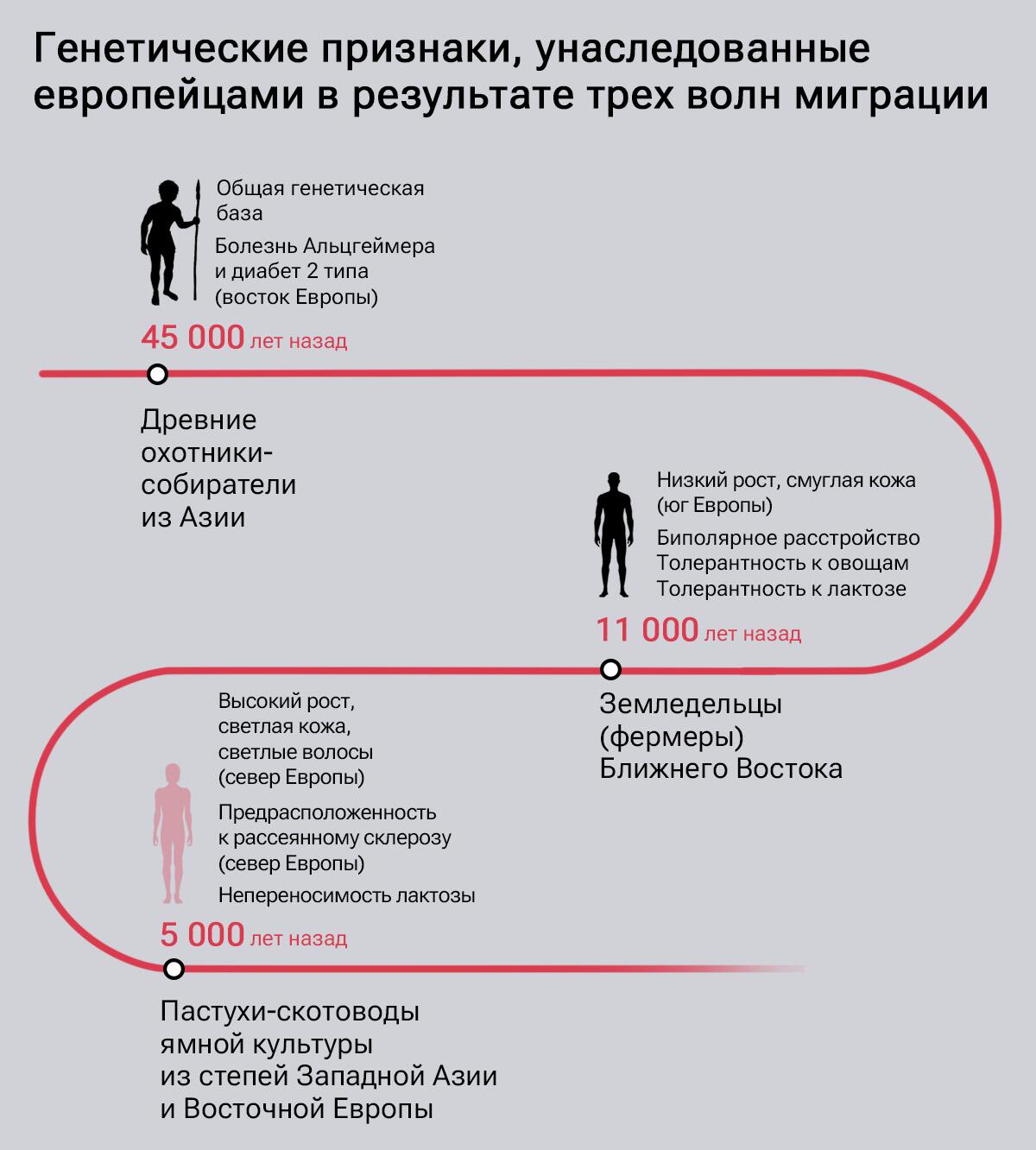 Генетические признаки, унаследованные европейцами в результате трех волн миграции