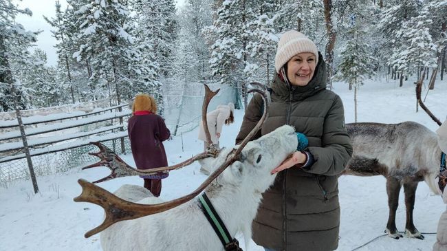 Туристка с оленями в комплексе Самь-Сыйт Туристка с оленями в комплексе Самь-Сыйт