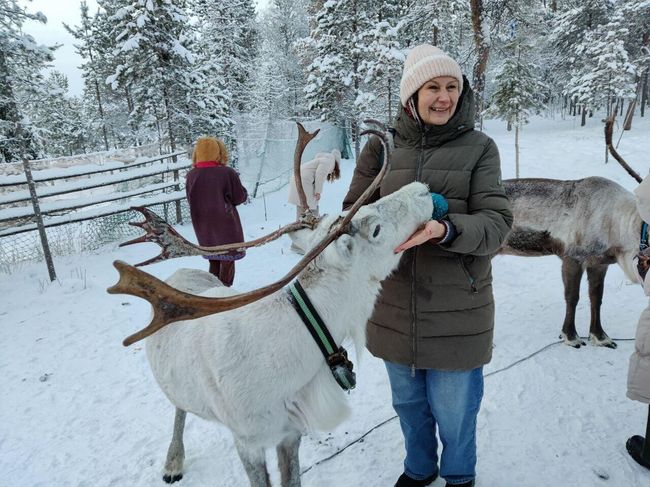 Туристка с оленями в комплексе Самь-Сыйт Туристка с оленями в комплексе Самь-Сыйт