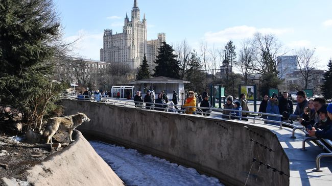 Посетители в Московском зоопарке