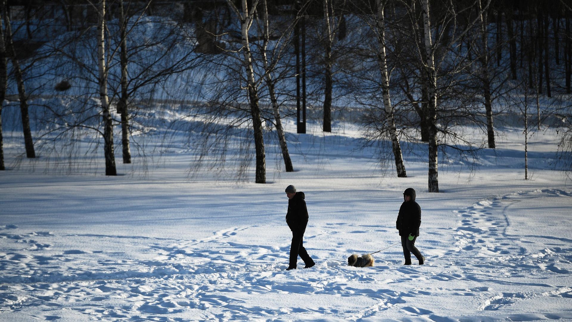 Прохожие с собакой Прохожие с собакой - РИА Новости, 1920, 14.02.2024