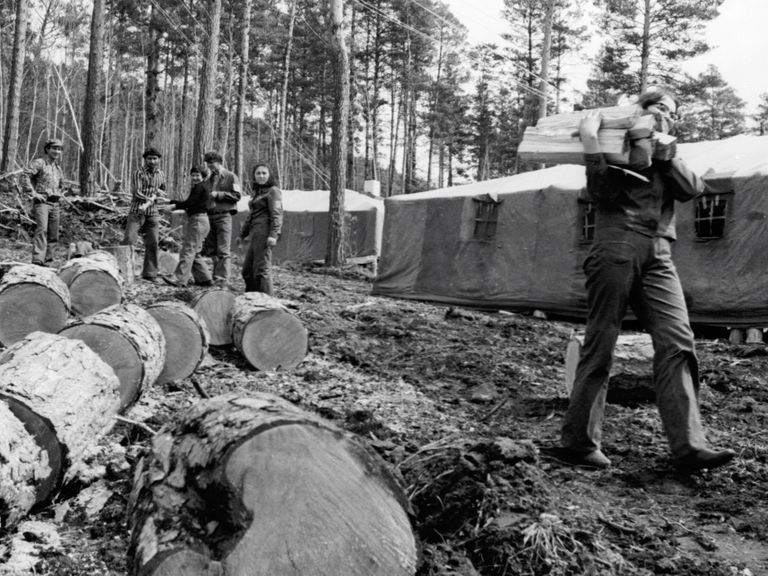 Строители БАМа, живущие в палаточном посёлке Звёздный, заготавливают дрова Строители БАМа, живущие в палаточном посёлке Звёздный, заготавливают дрова
