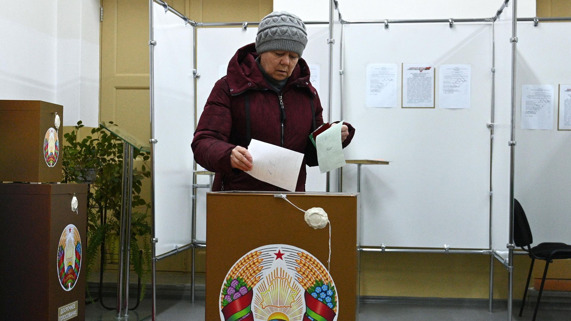 Женщина голосует на выборах депутатов нижней палаты парламента и местных советов Белоруссии на избирательном участке в Минске Женщина голосует на выборах депутатов нижней палаты парламента и местных советов Белоруссии на избирательном участке в Минске - РИА Новости, 1920, 25.02.2024