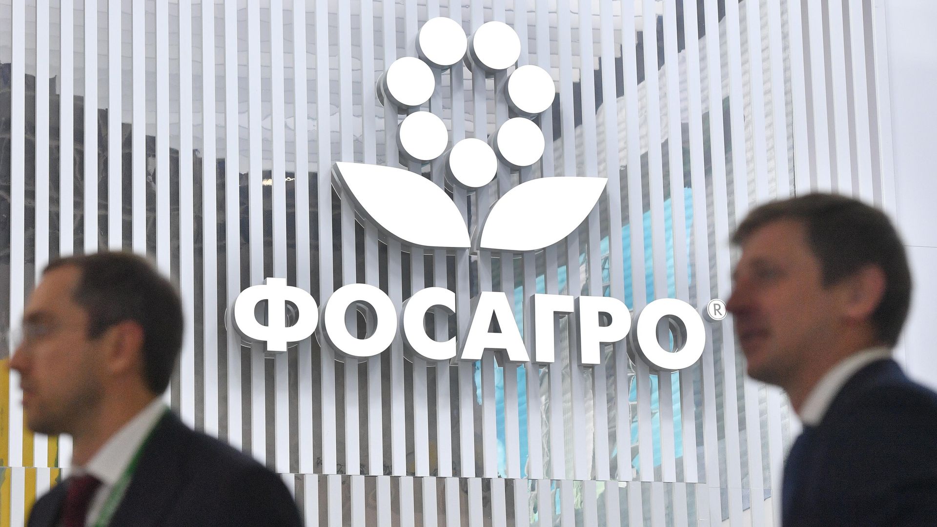 Стенд компании ФосАгро Стенд компании ФосАгро - РИА Новости, 1920, 30.08.2024