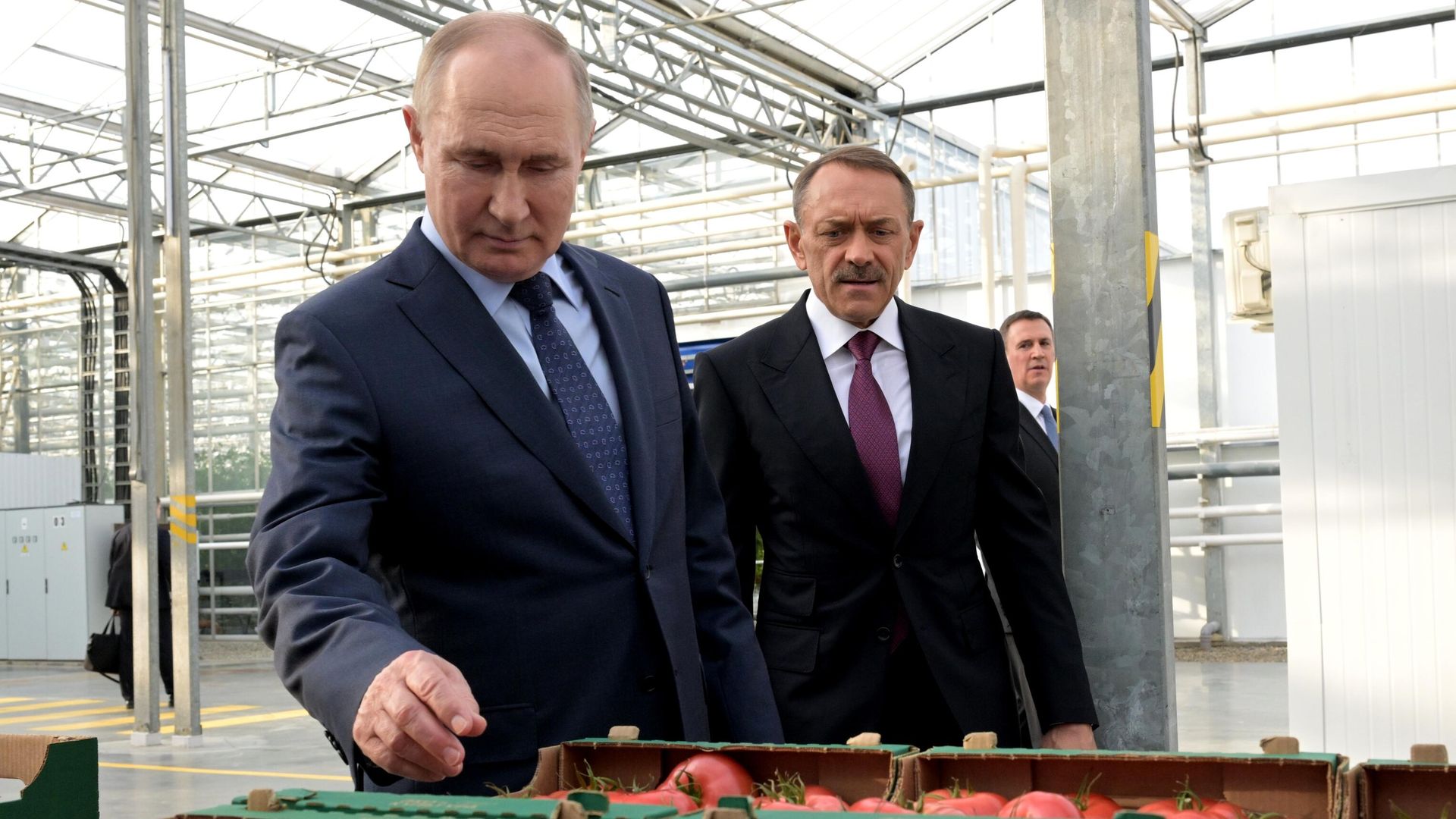 Президент РФ Владимир Путин во время посещения тепличного комплекса ООО Солнечный дар агропромышленного холдинга Эко-культура на территории Регионального индустриального парка Солнечный в Ставрополе - РИА Новости, 1920, 05.03.2024