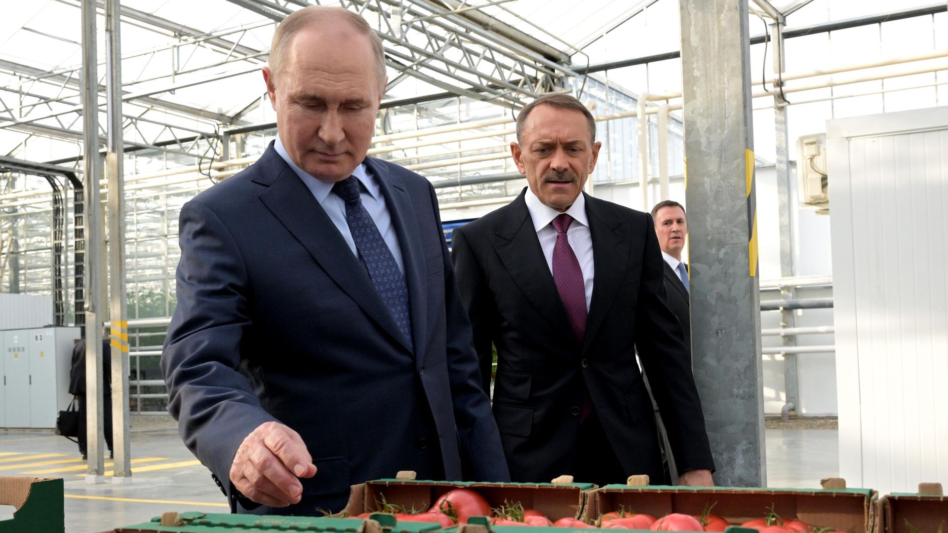 Президент РФ Владимир Путин во время посещения тепличного комплекса ООО Солнечный дар агропромышленного холдинга Эко-культура на территории Регионального индустриального парка Солнечный в Ставрополе Президент РФ Владимир Путин во время посещения тепличного комплекса ООО Солнечный дар агропромышленного холдинга Эко-культура на территории Регионального индустриального парка Солнечный в Ставрополе - РИА Новости, 1920, 05.03.2024