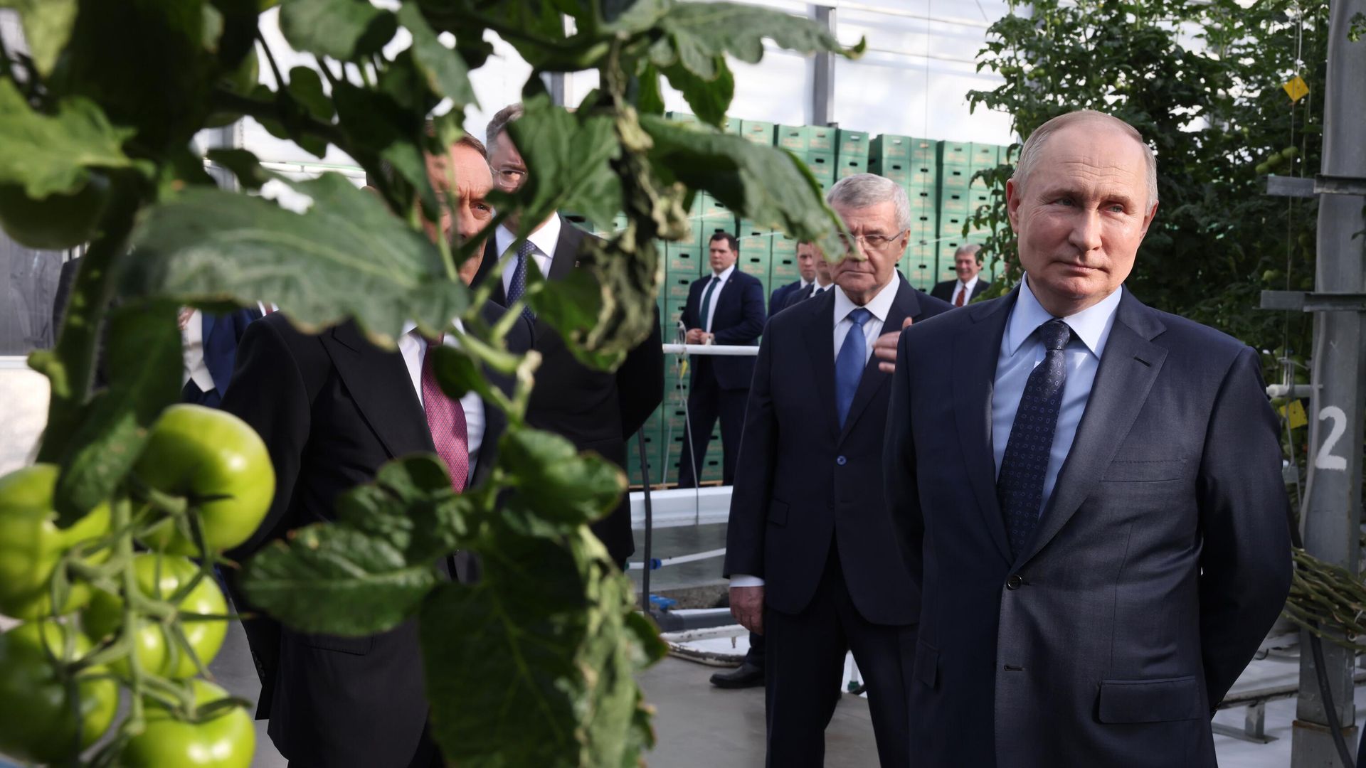 Президент РФ Владимир Путин во время посещения тепличного комплекса ООО Солнечный дар в Ставрополе Президент РФ Владимир Путин во время посещения тепличного комплекса ООО Солнечный дар в Ставрополе - РИА Новости, 1920, 05.03.2024
