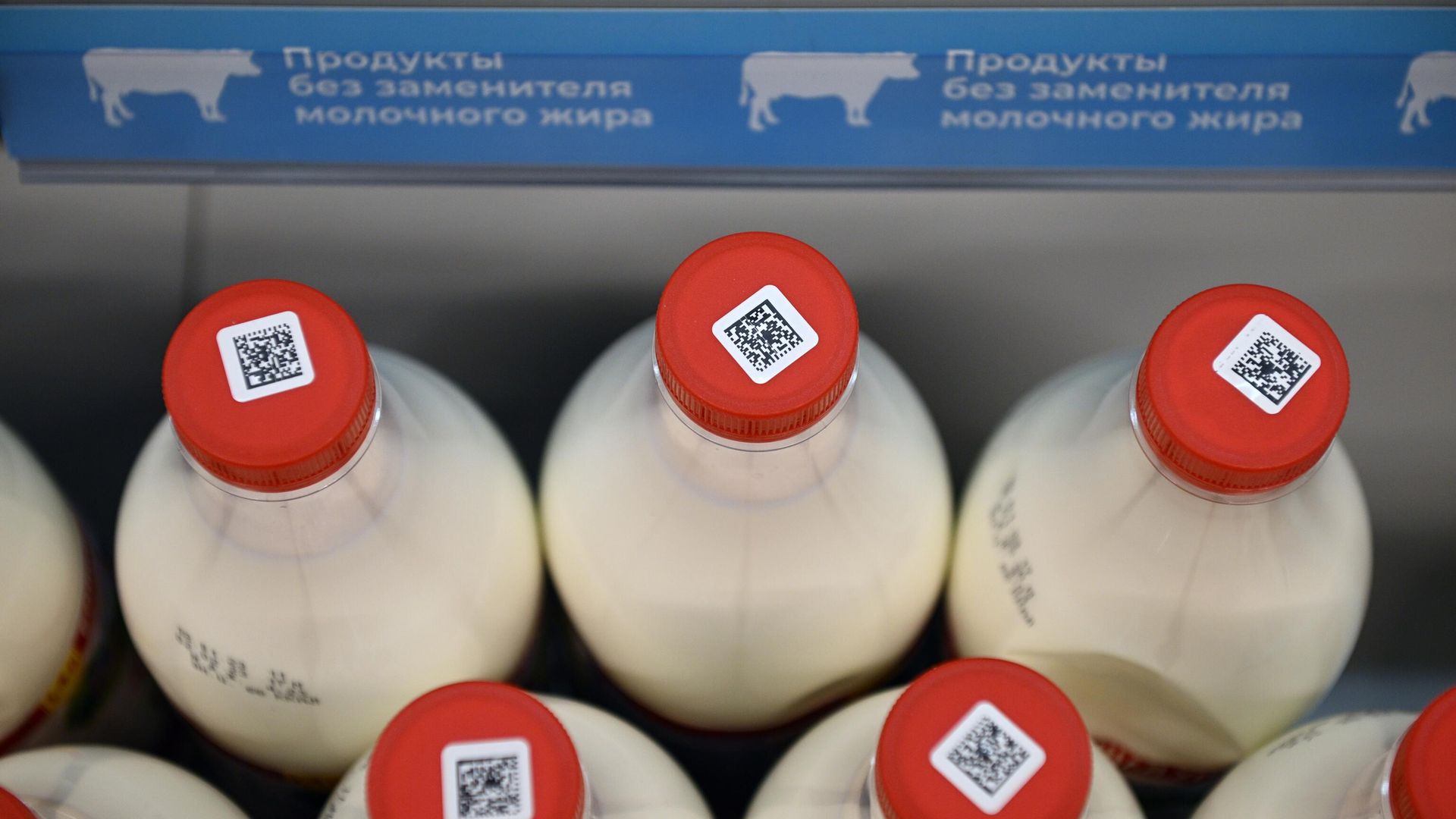 Технология проверки маркированных товаров с помощью системы Честный знак Технология проверки маркированных товаров с помощью системы Честный знак - РИА Новости, 1920, 12.03.2024