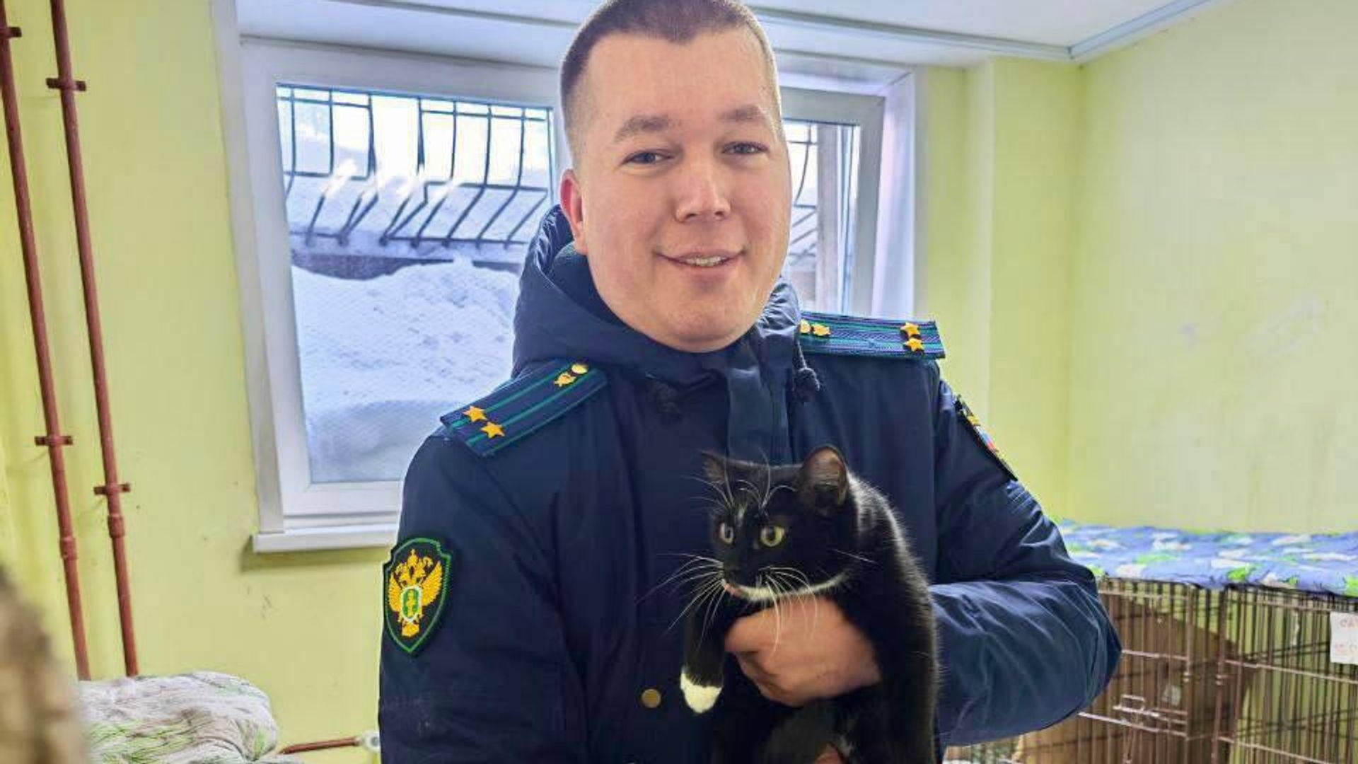 Кошка, брошенная в электричке, попала в приют Лапки-Царапки - РИА Новости, 1920, 11.03.2024