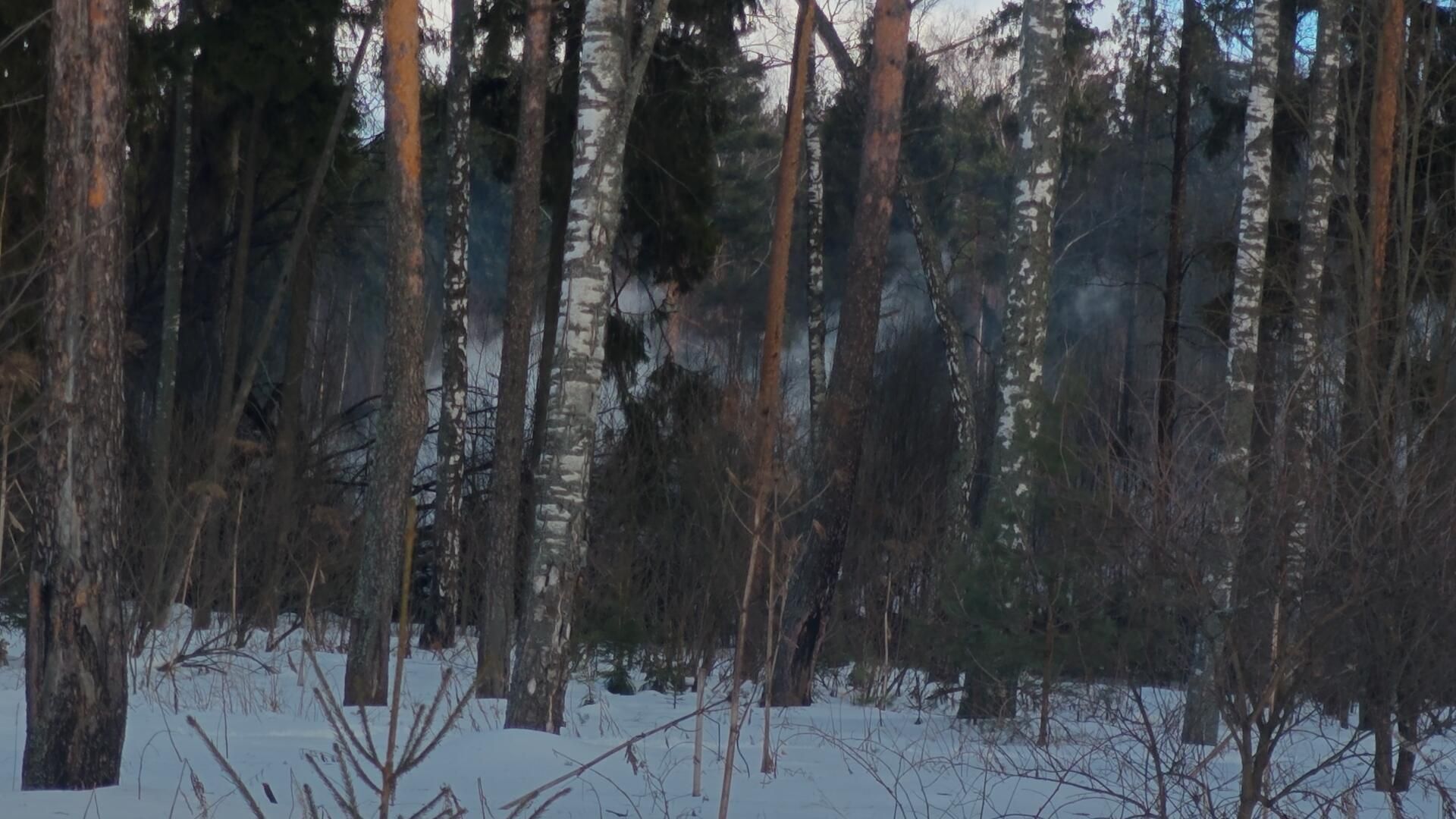 Кадры с места упавшего самолета Ил-76 под Иваново Кадры с места упавшего самолета Ил-76 под Иваново - РИА Новости, 1920, 12.03.2024