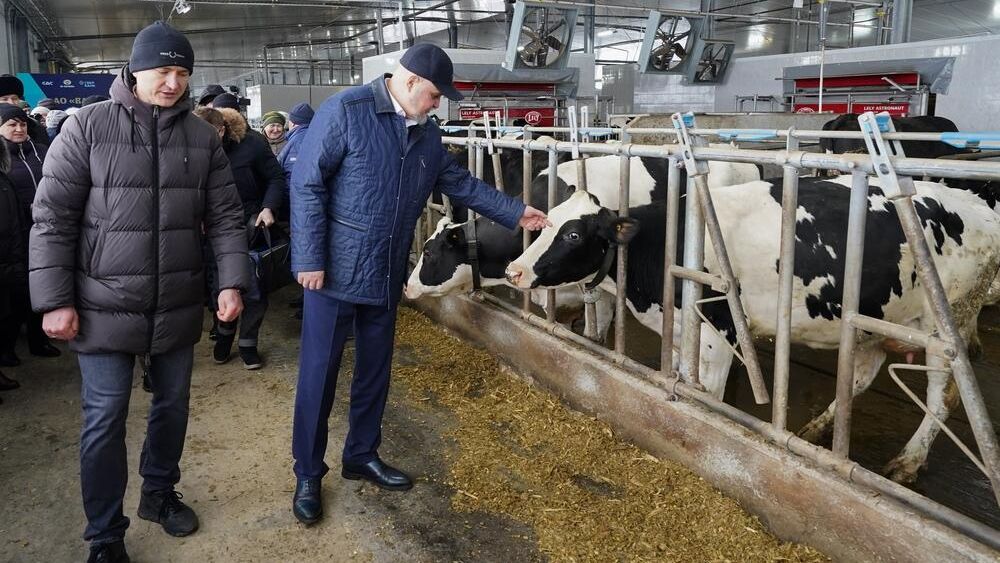 Губернатор Кемеровской области на открытии нового корпуса животноводческого комплекса в селе Ваганово Губернатор Кемеровской области на открытии нового корпуса животноводческого комплекса в селе Ваганово - РИА Новости, 1920, 13.03.2024