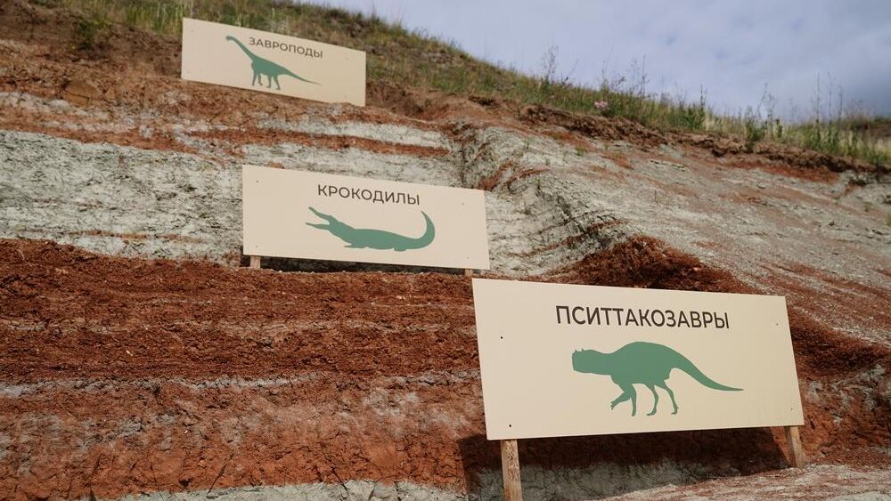 Фестиваль Динотерра в Кемеровской области Фестиваль Динотерра в Кемеровской области - РИА Новости, 1920, 16.05.2024