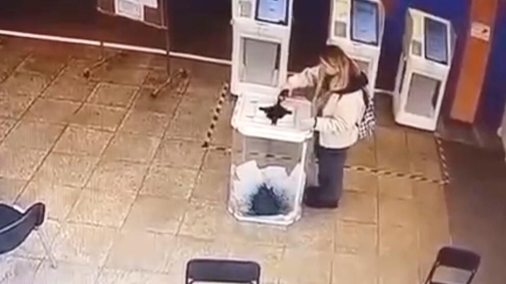 Кадр видео с избирательного участка в Москве, где девушка вылила красящее вещество в урну с бюллетенями Кадр видео с избирательного участка в Москве, где девушка вылила красящее вещество в урну с бюллетенями - РИА Новости, 1920, 15.03.2024