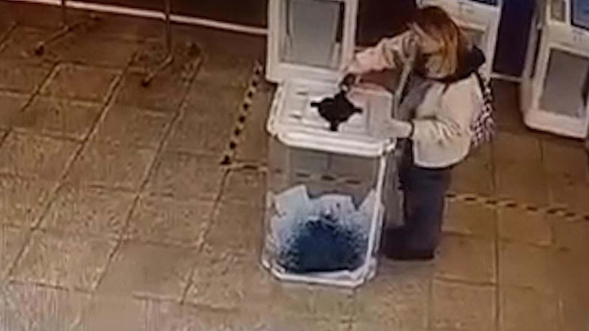 Женщина вылила красящее вещество в урну с бюллетенями. Кадры с камеры видеонаблюдения Женщина вылила красящее вещество в урну с бюллетенями. Кадры с камеры видеонаблюдения - РИА Новости, 1920, 15.03.2024