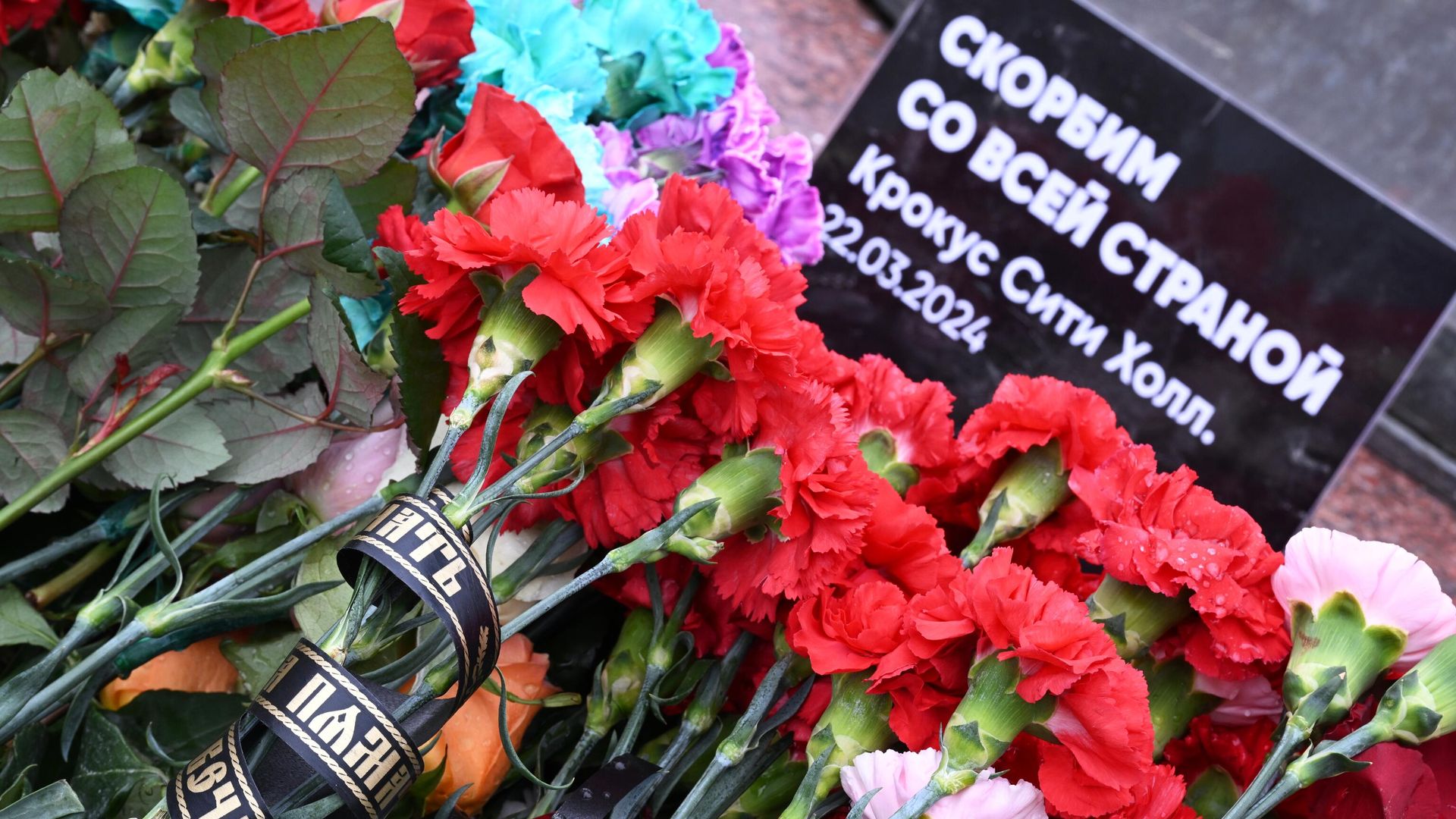 Цветы у стихийного мемориала в день общенационального траура по погибшим в результате теракта в подмосковном Крокус Сити Холле Цветы у стихийного мемориала в день общенационального траура по погибшим в результате теракта в подмосковном Крокус Сити Холле - РИА Новости, 1920, 25.03.2024