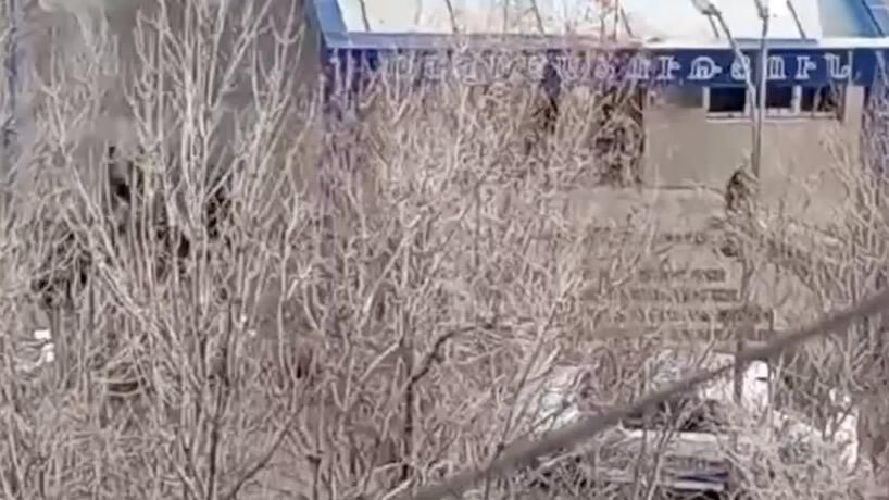 У отделения полиции в ереванском районе Нор-Норк взорвана граната - РИА Новости, 1920, 24.03.2024