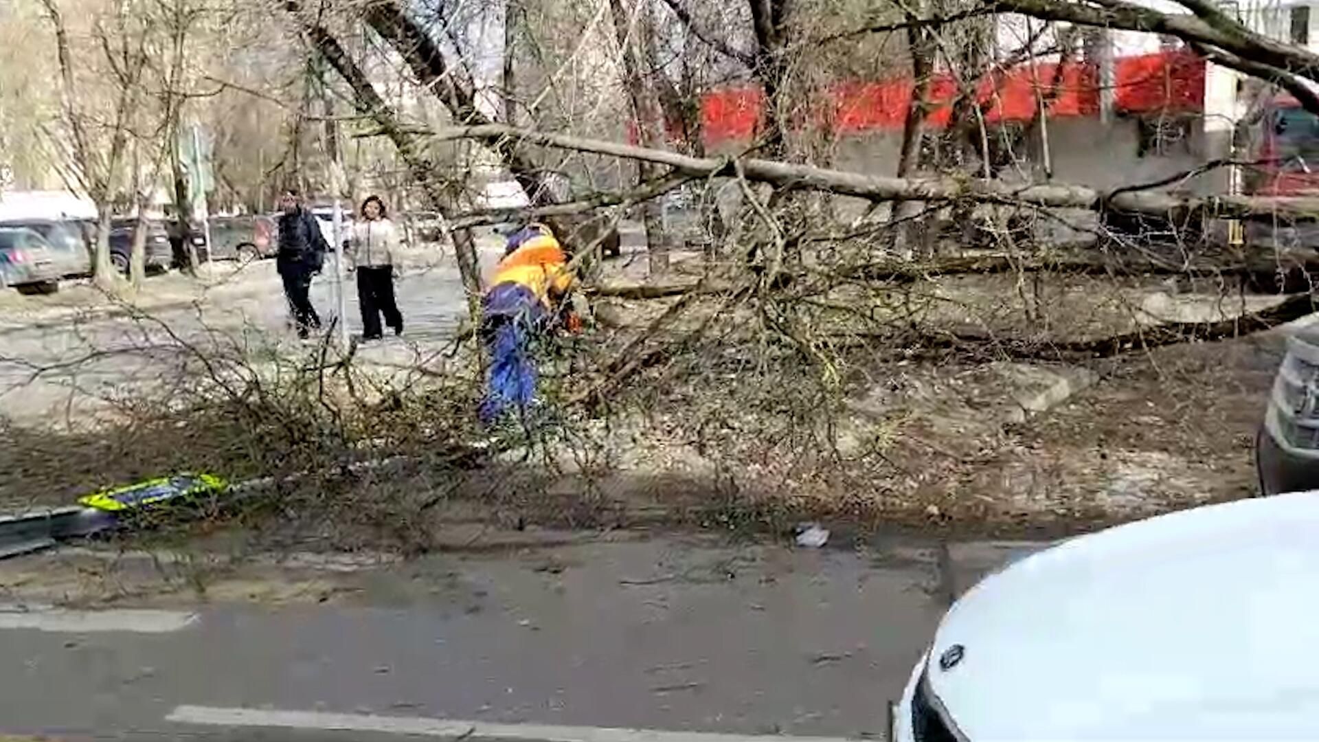Последствия сильного ветра в Москве Последствия сильного ветра в Москве - РИА Новости, 1920, 03.04.2024