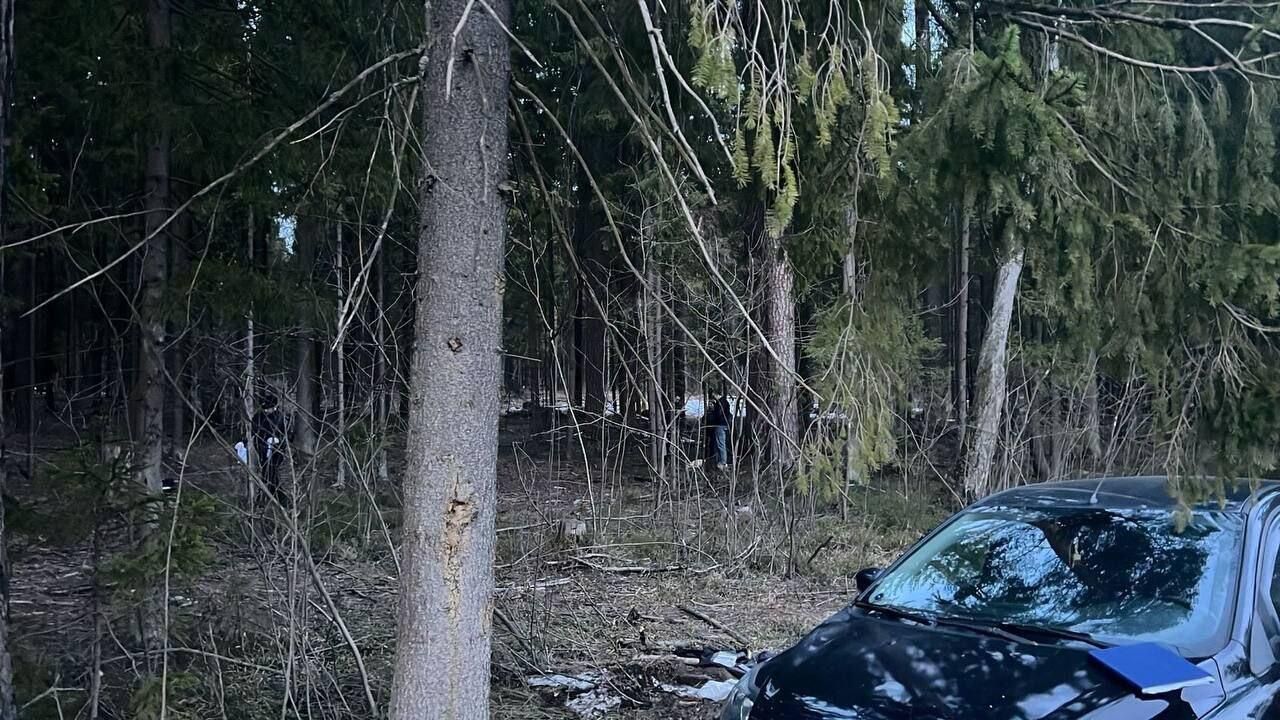 Место нападения на полицейских в Подмосковье Место нападения на полицейских в Подмосковье - РИА Новости, 1920, 07.04.2024