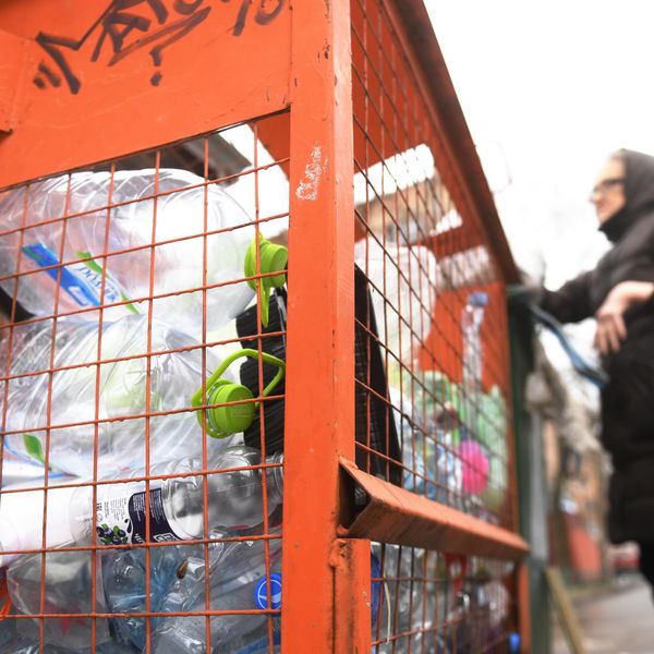 С 1 января стартовала программа раздельного сбора отходов 