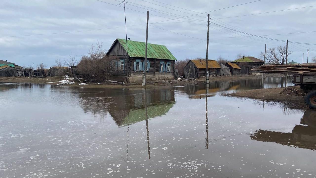 Разлив реки Тобол в Звериноголовском округе Курганской области Разлив реки Тобол в Звериноголовском округе Курганской области - РИА Новости, 1920, 09.04.2024