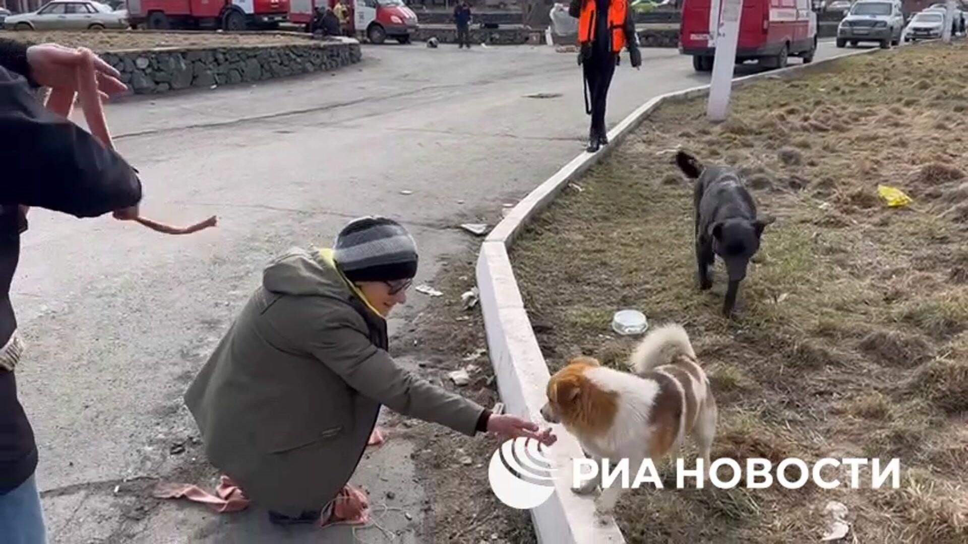 Волонтеры помогают спасать домашних животных из затопленных районов Орска Волонтеры помогают спасать домашних животных из затопленных районов Орска - РИА Новости, 1920, 09.04.2024