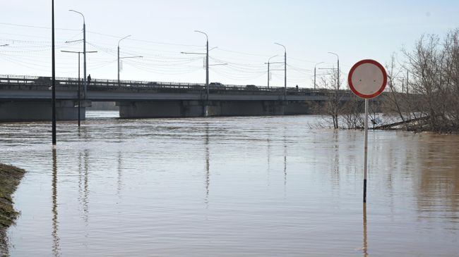 Разлившаяся река Урал в Оренбурге Разлившаяся река Урал в Оренбурге