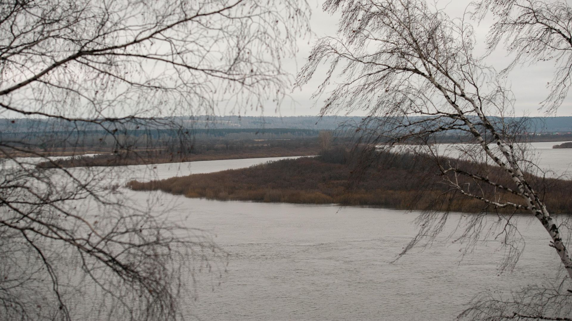 Вид на реку Томь с Синего утеса в Томской области Вид на реку Томь с Синего утеса в Томской области - РИА Новости, 1920, 17.04.2024