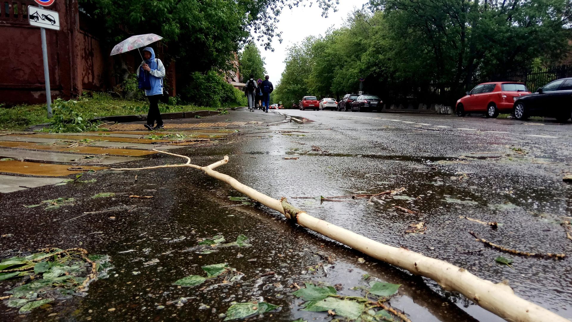 Сломанное ураганом дерево на улице города Москвы Сломанное ураганом дерево на улице города Москвы - РИА Новости, 1920, 08.05.2024